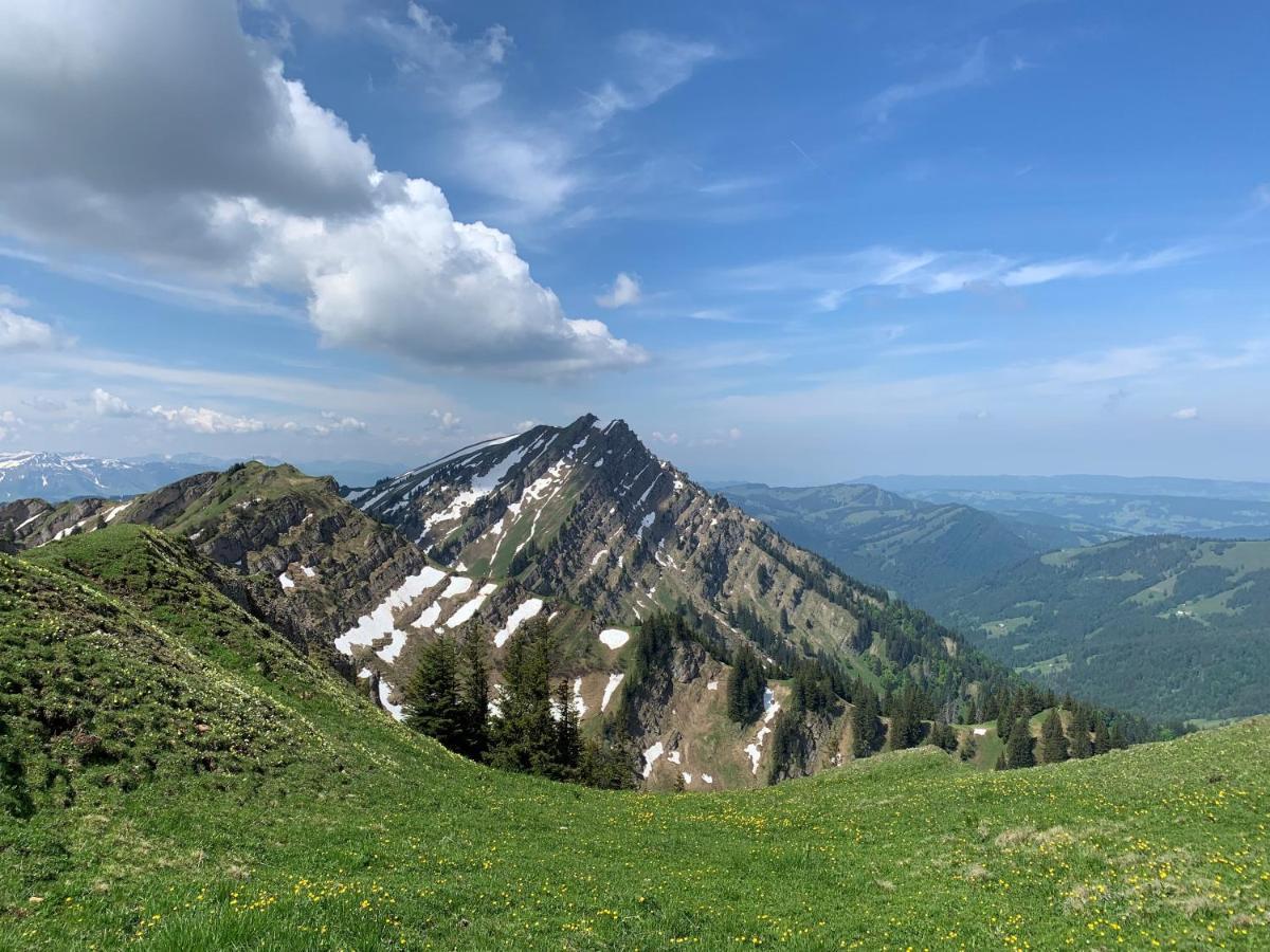 Staufen Herz Oberstaufen Extérieur photo